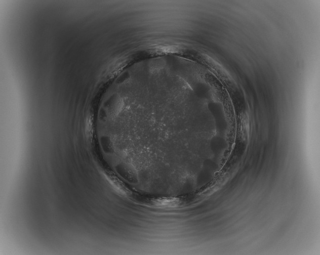 X0000116860410200912221142