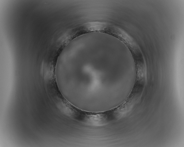 X0000116860411200912221142