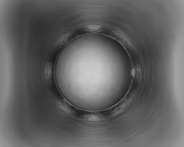 X0000116860412200912221142