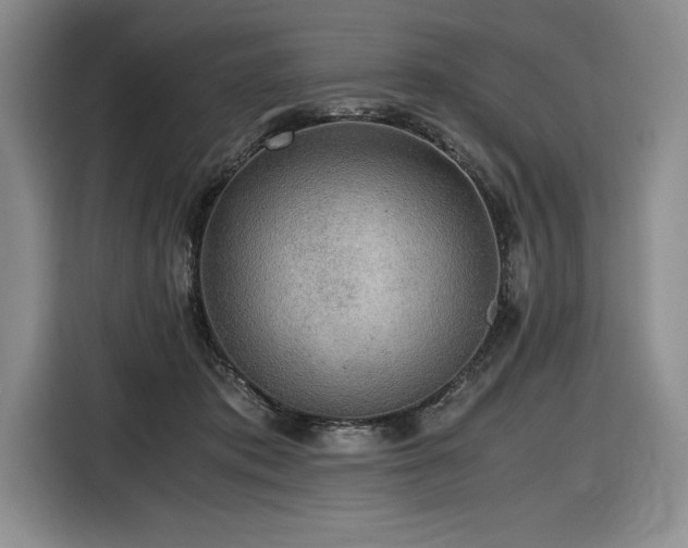 X0000116860413200912221142