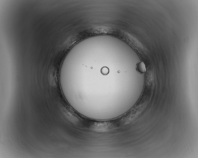 X0000116860414200912221142