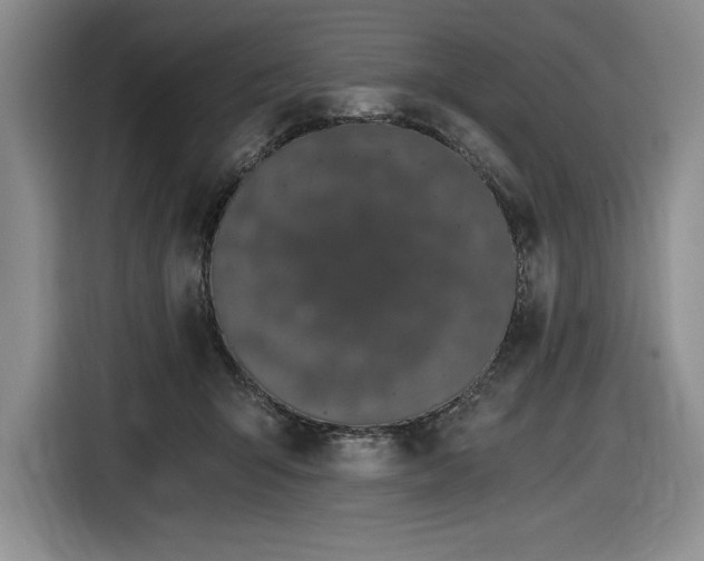 X0000116860415200912221142