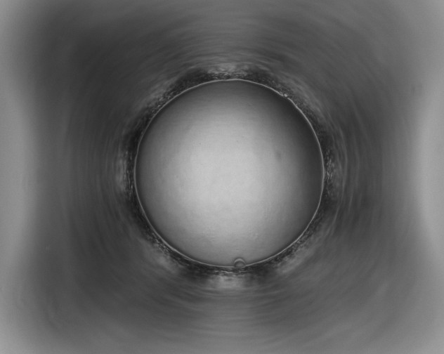 X0000116860416200912221142