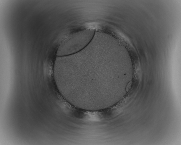 X0000116860417200912221142