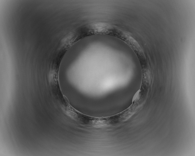 X0000116860419200912221142
