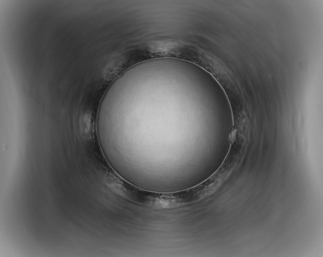 X0000116860420200912221142