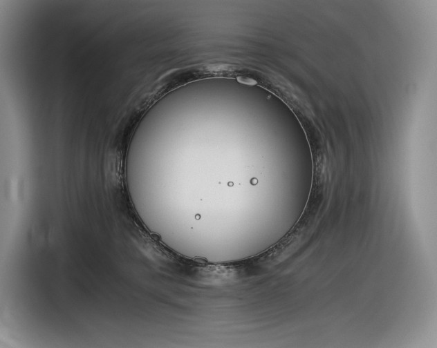 X0000116860421200912221142