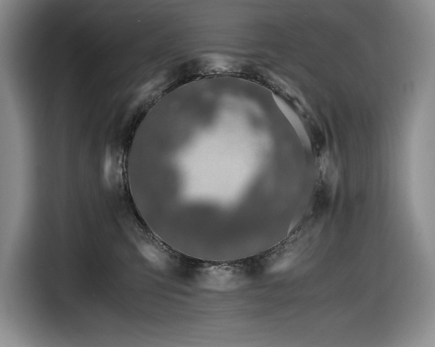 X0000116860423200912221142