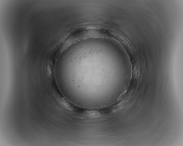 X0000116860424200912221142