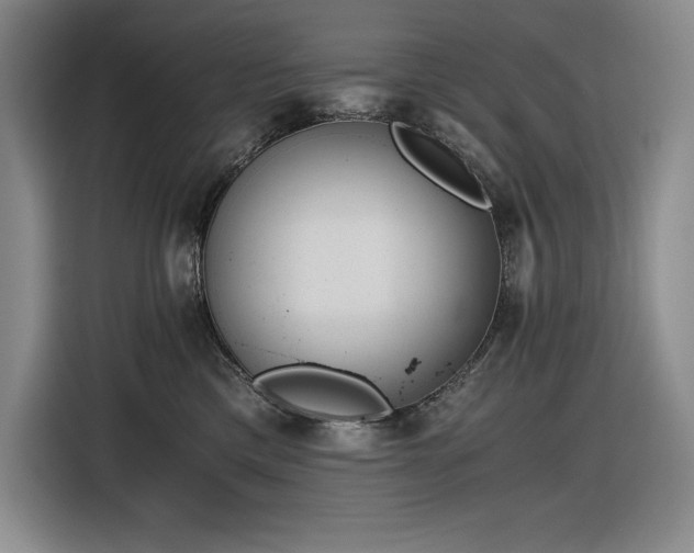 X0000116860425200912221142