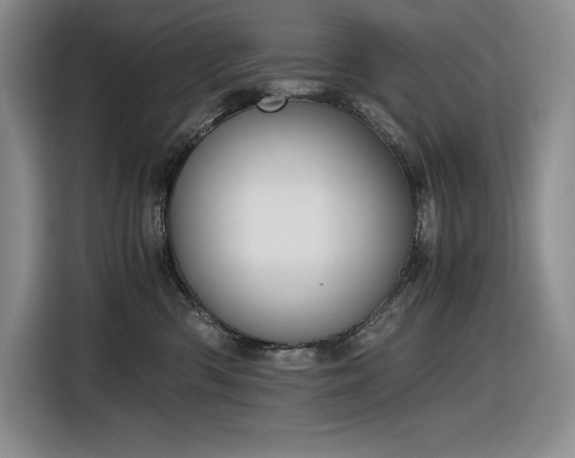 X0000116860426200912221142