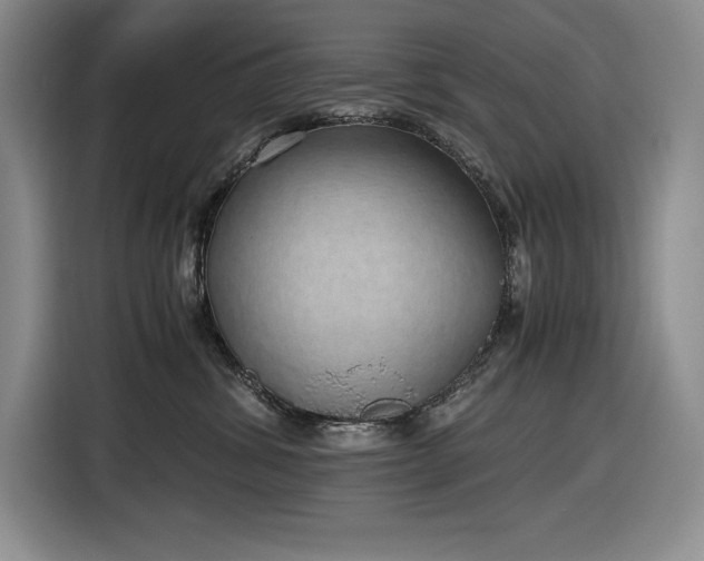 X0000116860428200912221142