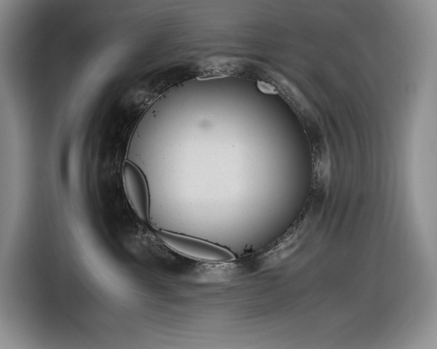 X0000116860429200912221142