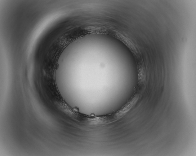 X0000116860430200912221142