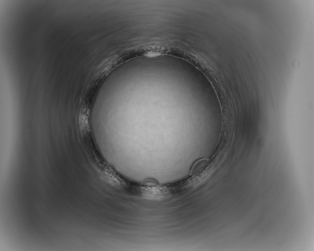 X0000116860432200912221142