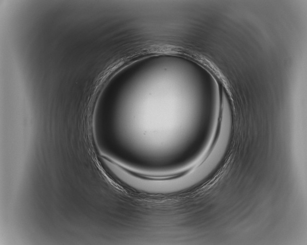 X0000116860433200912221141