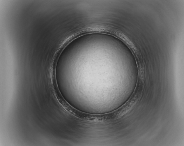 X0000116860434200912221141