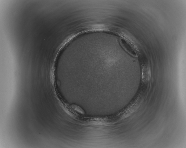 X0000116860436200912221141