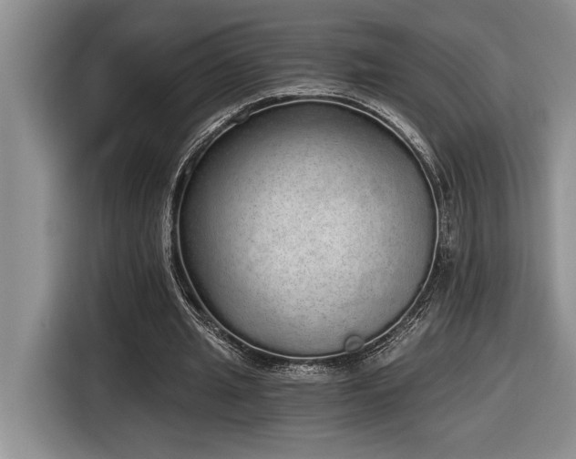 X0000116860437200912221141