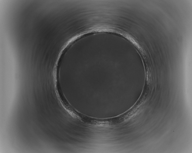 X0000116860438200912221142