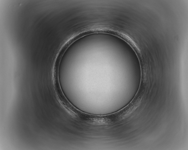 X0000116860439200912221142