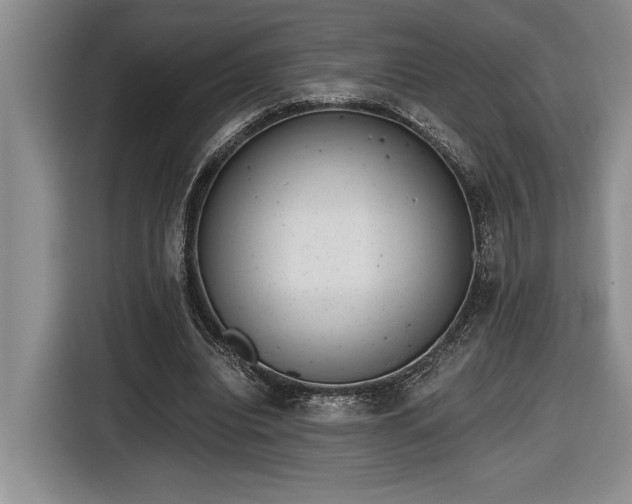 X0000116860440200912221142
