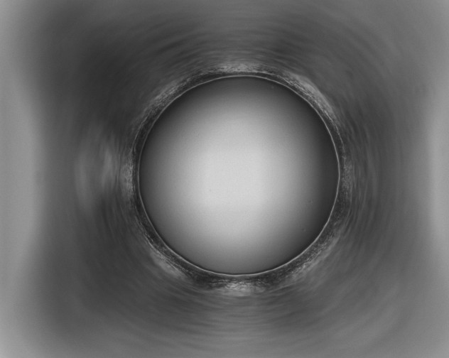 X0000116860441200912221142