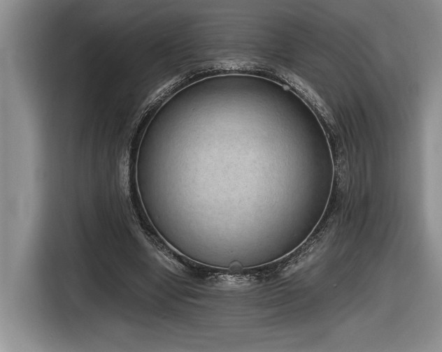 X0000116860442200912221142
