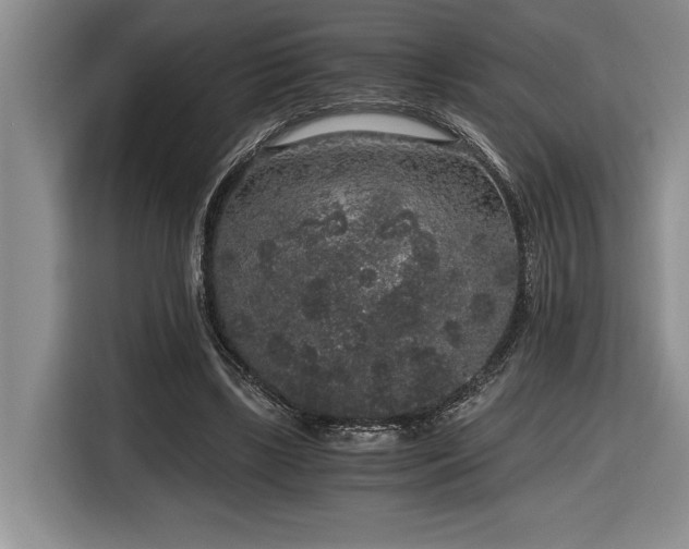 X0000116860443200912221142