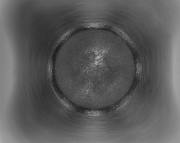 X0000116860444200912221142