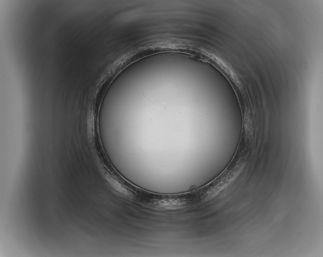 X0000116860445200912221142