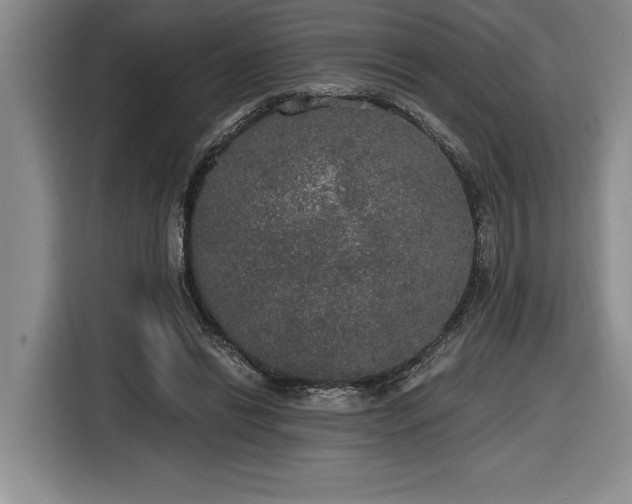 X0000116860446200912221142