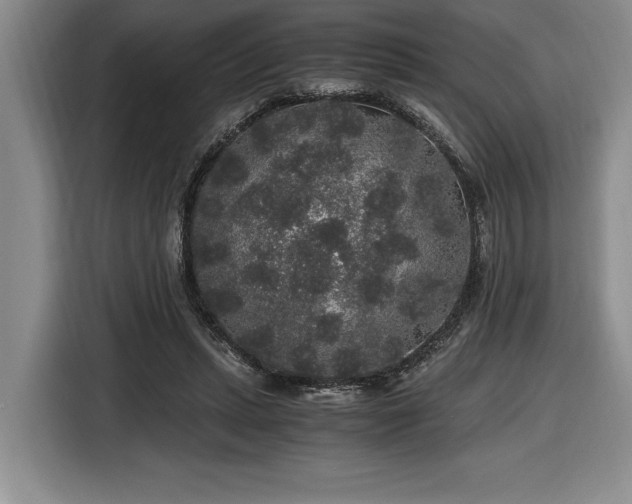 X0000116860447200912221142