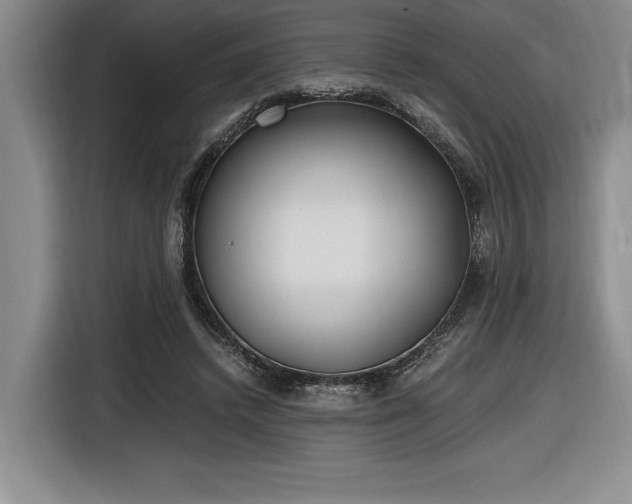 X0000116860448200912221142