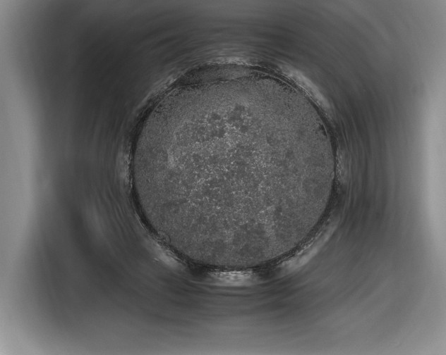 X0000116860449200912221142