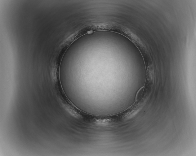 X0000116860450200912221142
