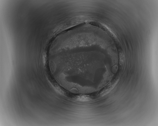 X0000116860451200912221142