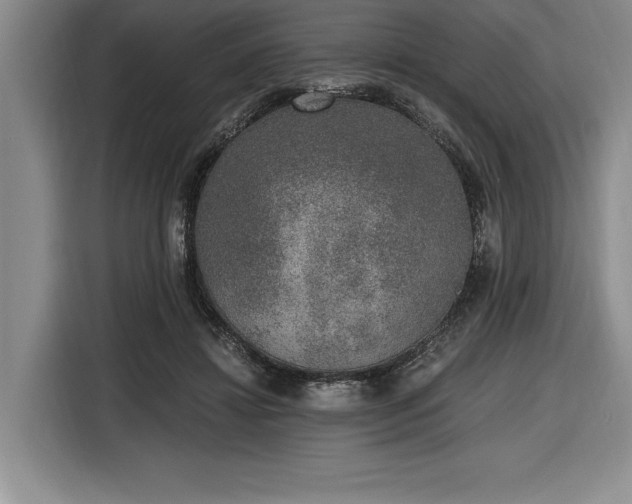 X0000116860452200912221142