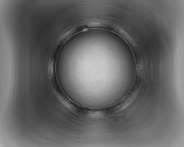 X0000116860454200912221142