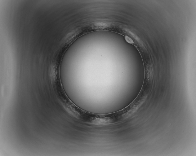 X0000116860455200912221142