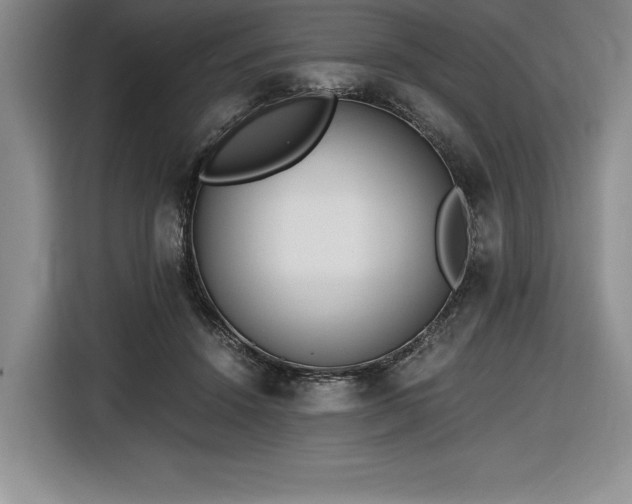 X0000116860456200912221142