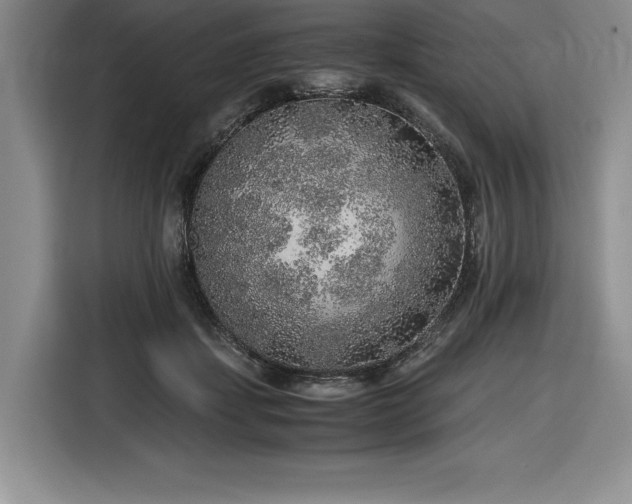 X0000116860459200912221142
