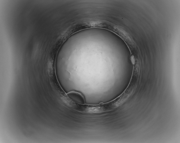 X0000116860461200912221142