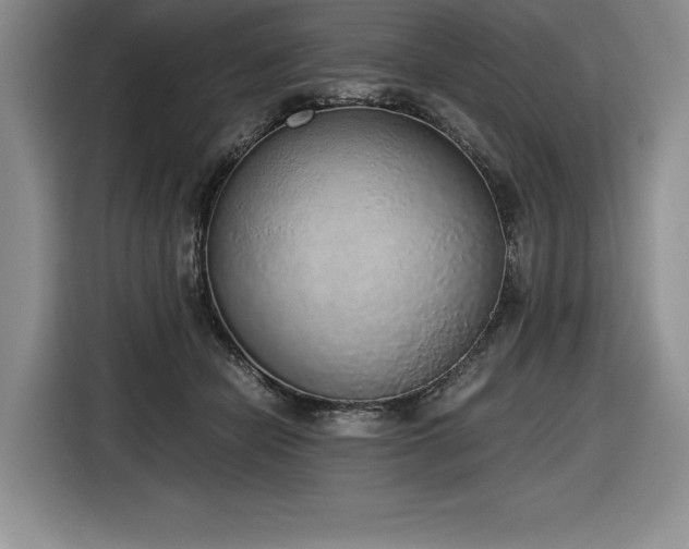 X0000116860462200912221142