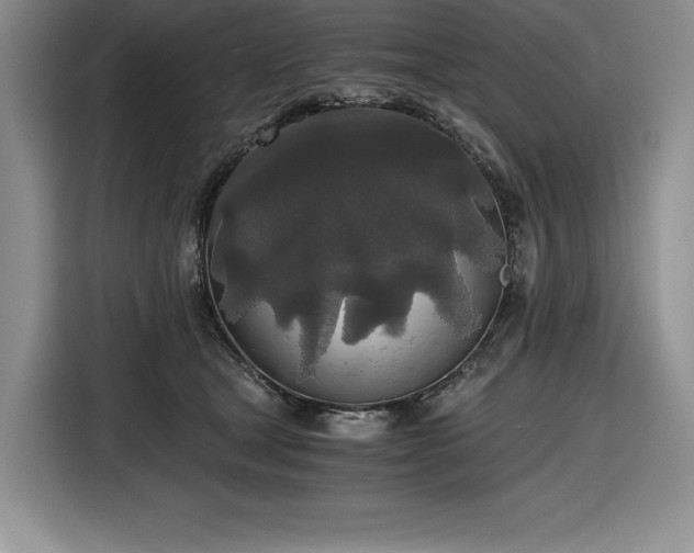 X0000116860465200912221142