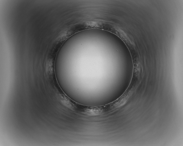 X0000116860466200912221142