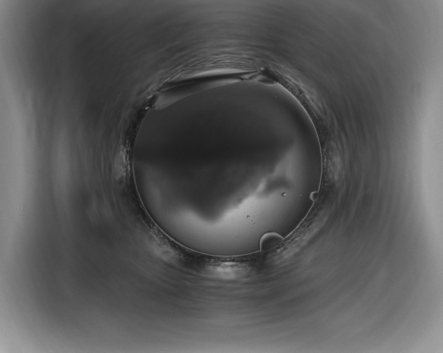 X0000116860467200912221142