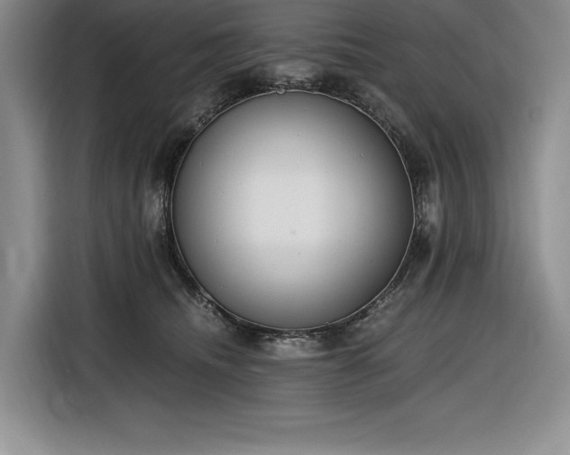 X0000116860468200912221142