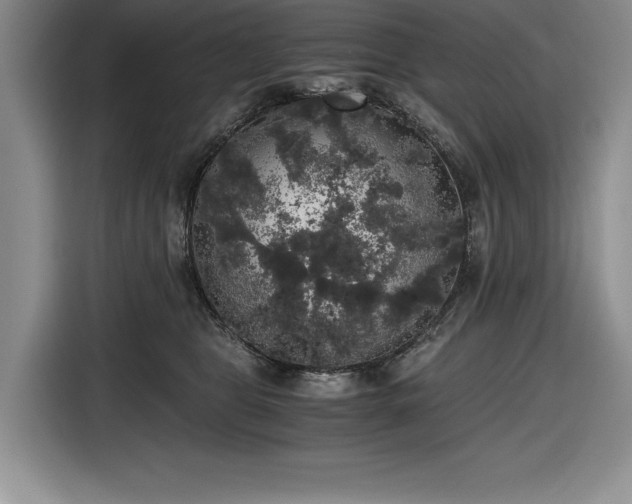 X0000116860469200912221142