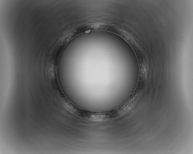 X0000116860470200912221142